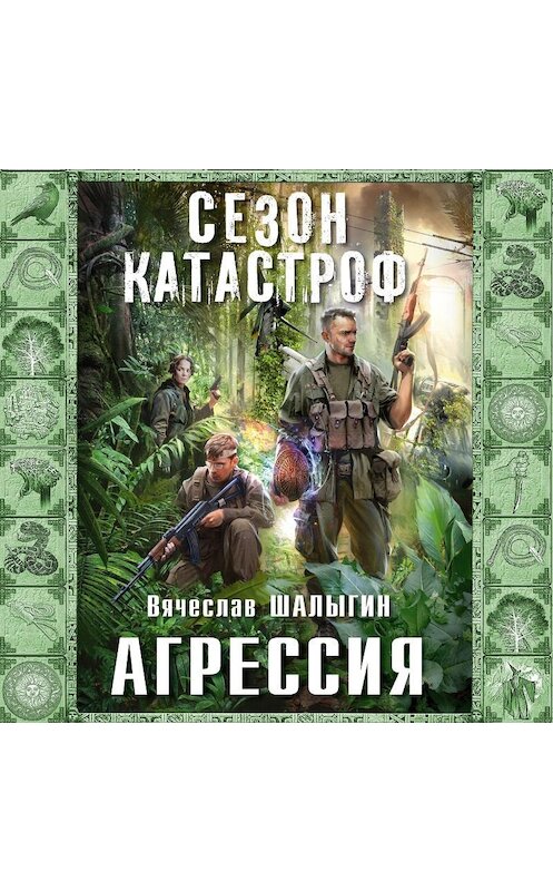 Обложка аудиокниги «Агрессия» автора Вячеслава Шалыгина.