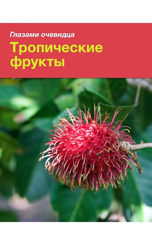 Обложка книги «Тропические фрукты» автора  издание 2016 года.