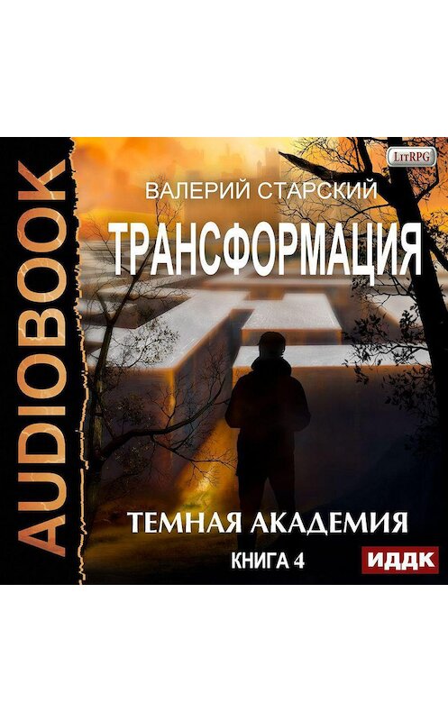 Обложка аудиокниги «Темная академия» автора Валерия Старския.