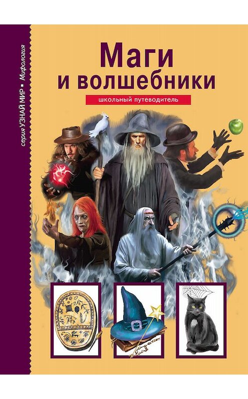 Обложка книги «Маги и волшебники» автора Юлии Дунаевы издание 2018 года. ISBN 9785912333163.