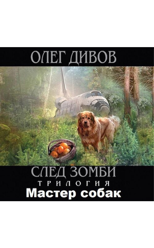 Обложка аудиокниги «Мастер собак» автора Олега Дивова.