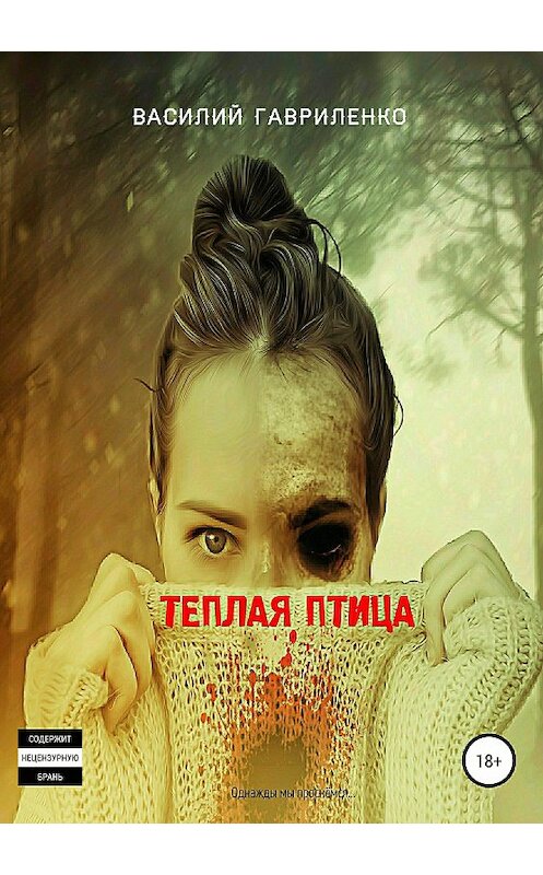 Обложка книги «Теплая Птица» автора Василия Гавриленки издание 2018 года.