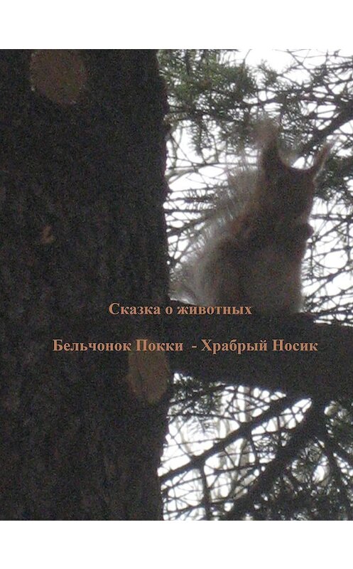 Обложка книги «Бельчонок Покки. Храбрый носик» автора Ниной Лукины издание 2017 года.