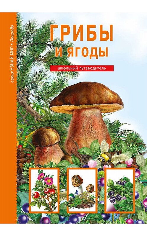 Обложка книги «Грибы и ягоды» автора Сергея Афонькина издание 2015 года. ISBN 9785912333521.