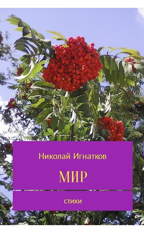 Обложка книги «Мир» автора Николая Игнаткова.