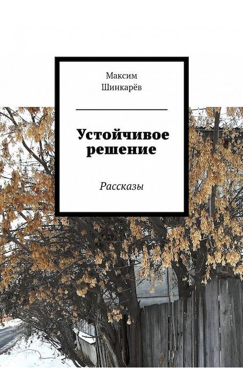 Обложка книги «Устойчивое решение» автора Максима Шинкарёва. ISBN 9785447412975.