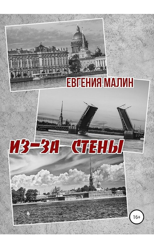 Обложка книги «Из-за стены» автора Евгении Малина издание 2020 года.