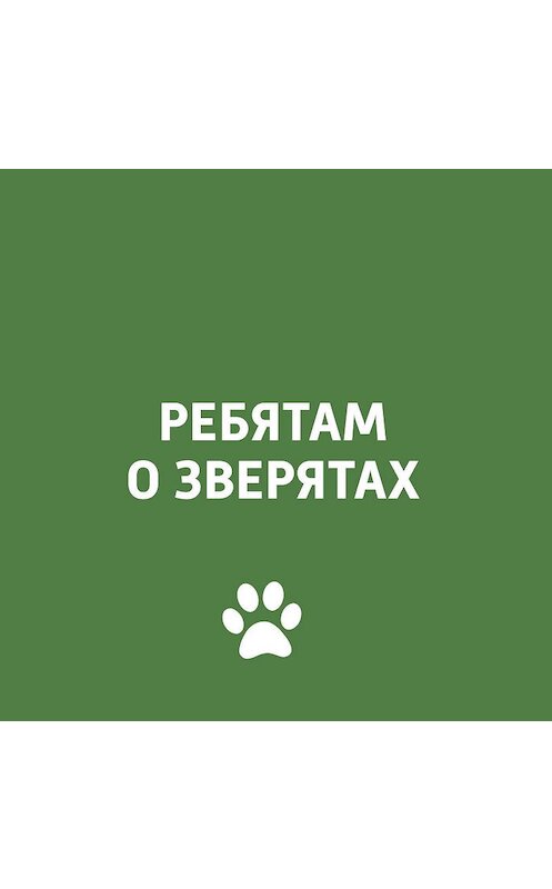 Обложка аудиокниги «Весенние проблемы у домашних питомцев» автора .