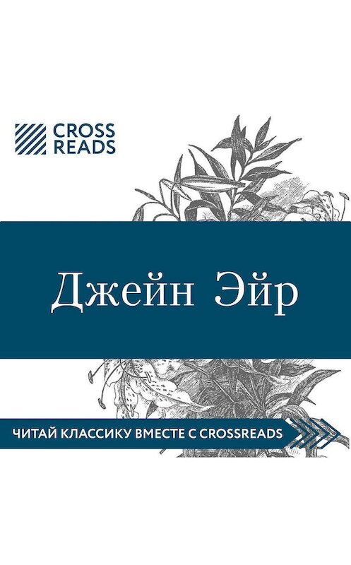 Обложка аудиокниги «Обзор на книгу Шарлотты Бронте «Джейн Эйр»» автора Марии Мухановы.