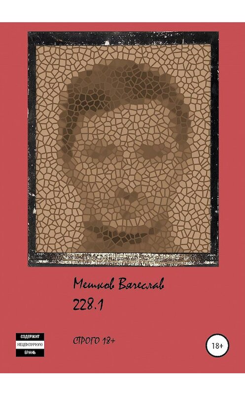 Обложка книги «228.1» автора Вячеслава Мешкова издание 2020 года. ISBN 9785532059627.