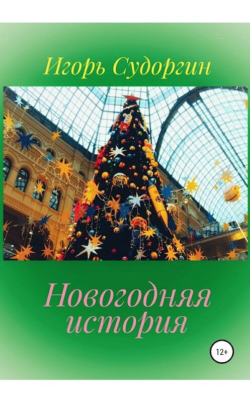 Обложка книги «Новогодняя история» автора Игоря Судоргина издание 2019 года.