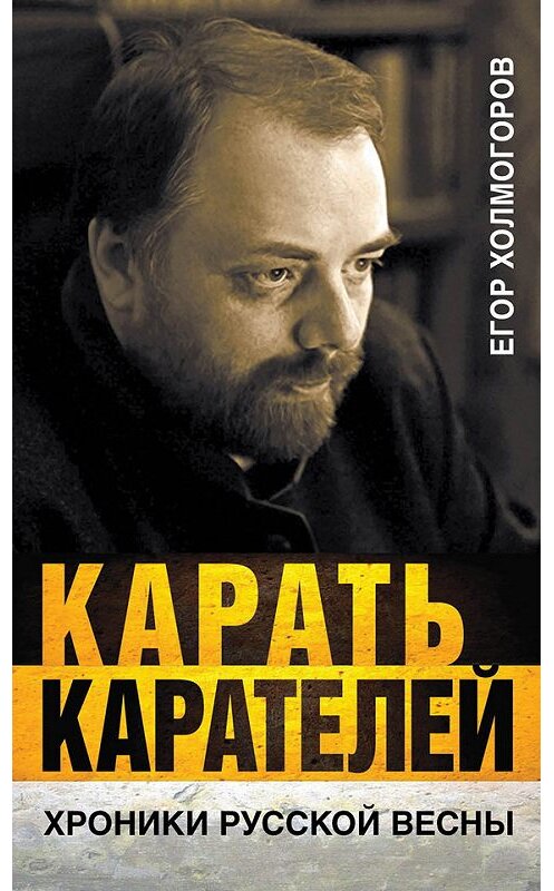 Обложка книги «Карать карателей. Хроники Русской весны» автора Егора Холмогорова издание 2015 года. ISBN 9785804107322.
