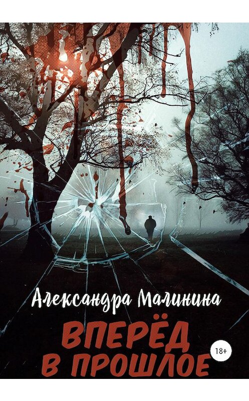 Обложка книги «Вперед в прошлое» автора Александры Малинины издание 2020 года.
