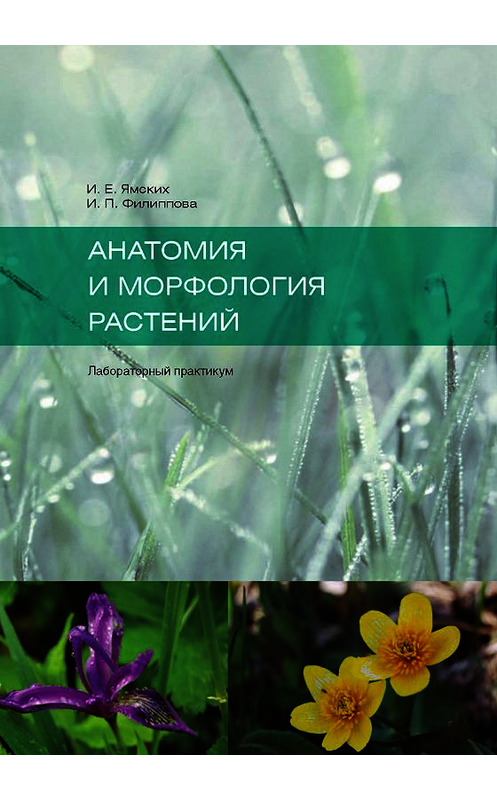 Обложка книги «Анатомия и морфология растений» автора . ISBN 9785763834093.