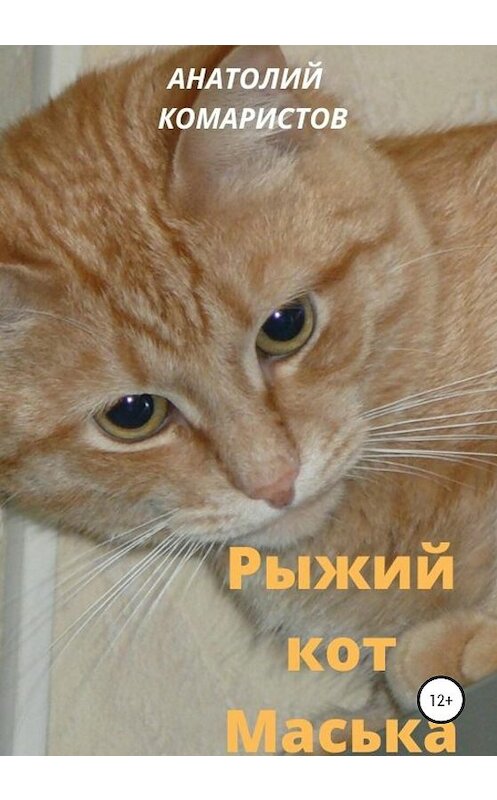 Обложка книги «Рыжий кот Маська» автора Анатолия Комаристова издание 2020 года.