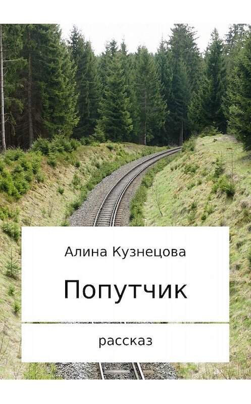 Обложка книги «Попутчик» автора Алиной Кузнецовы издание 2018 года.