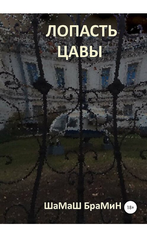 Обложка книги «Лопасть цавы» автора Шамаша Брамина издание 2019 года.