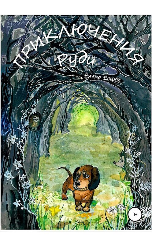 Обложка книги «Приключения Руди» автора Елены Есины издание 2020 года.