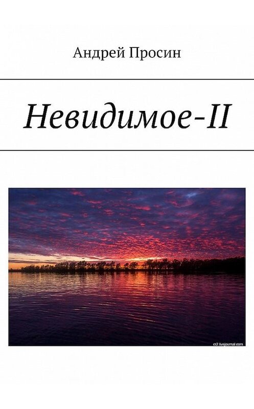 Обложка книги «Невидимое-II» автора Андрея Просина. ISBN 9785005009753.