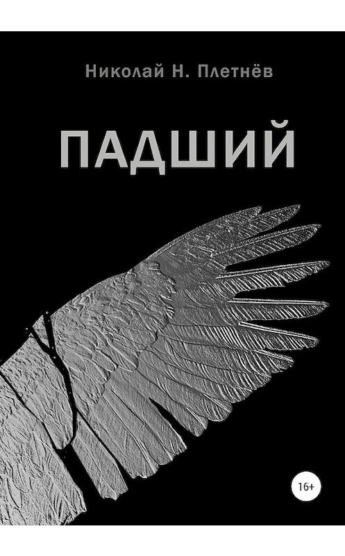 Обложка книги «Падший» автора Николая Плетнёва издание 2020 года.