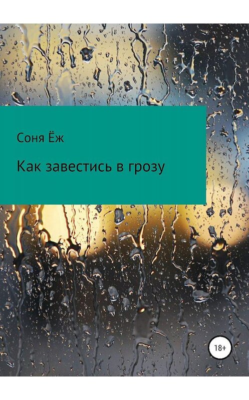 Обложка книги «Как завестись в грозу» автора Сони Ёжа издание 2019 года.