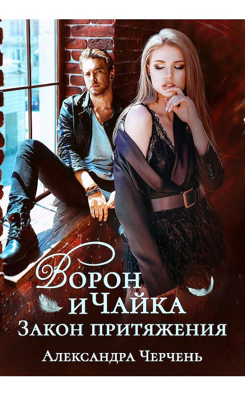 Обложка книги «Ворон и чайка» автора Александры Черченя.