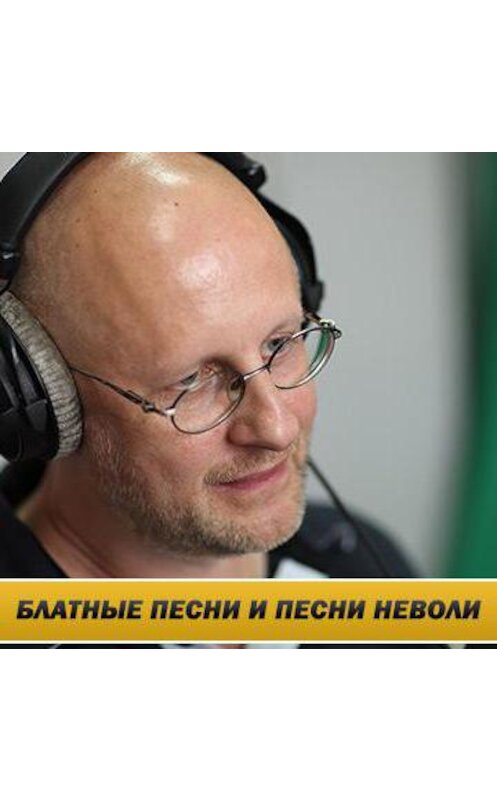 Обложка аудиокниги «Интервью на радио Балтика 22 октября 2015 года» автора Дмитрия Пучкова.