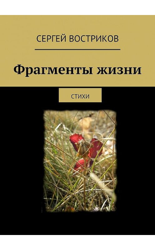 Обложка книги «Фрагменты жизни. стихи» автора Сергея Вострикова. ISBN 9785447484392.