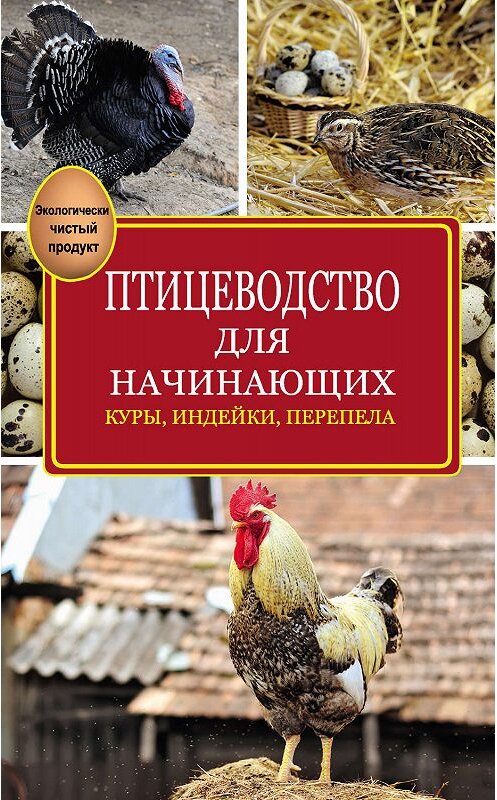 Обложка книги «Птицеводство для начинающих» автора Эдуарда Бондарева издание 2015 года. ISBN 9785170843329.