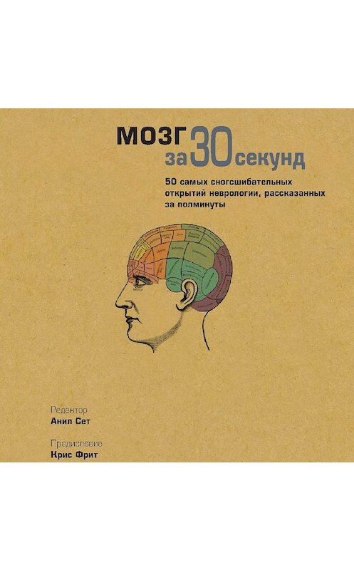 Обложка аудиокниги «Мозг за 30 секунд» автора Коллектива Авторова. ISBN 9789177351856.