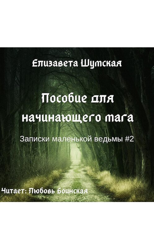 Обложка аудиокниги «Пособие для начинающего мага» автора Елизавети Шумская.