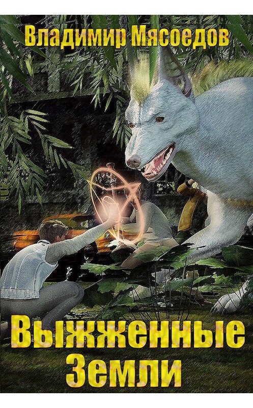 Обложка книги «Выжженные земли» автора Владимира Мясоедова.