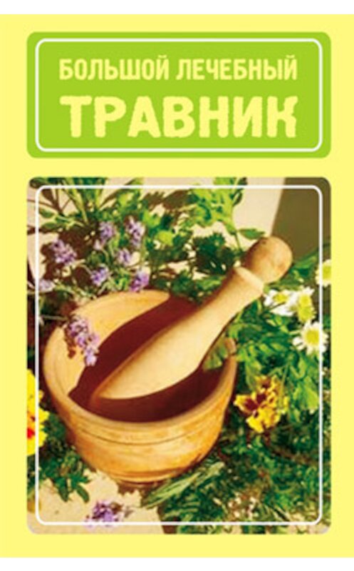 Обложка книги «Большой лечебный травник» автора Ивана Дубровина.