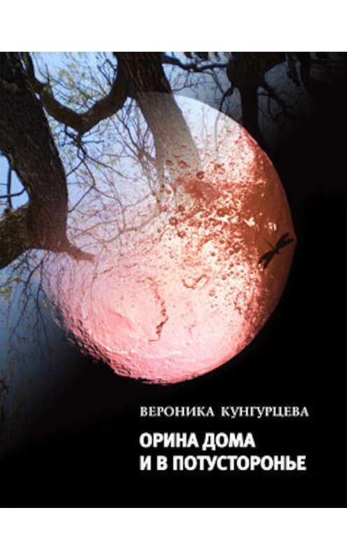 Обложка книги «Орина дома и в Потусторонье» автора Вероники Кунгурцевы издание 2012 года. ISBN 9785969109834.