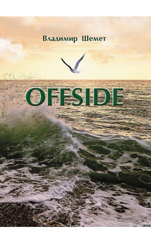 Обложка книги «Offside» автора Владимира Шемета издание 2018 года. ISBN 9785001221524.