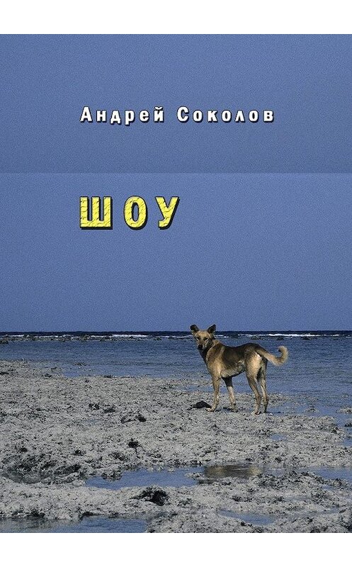 Обложка книги «Шоу» автора Андрея Соколова. ISBN 9785449011428.