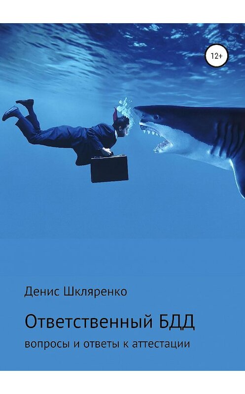 Обложка книги «ВОПРОСЫ И ОТВЕТЫ – АТТЕСТАЦИЯ ОТВЕТСТВЕННОГО ПО БЕЗОПАСНОСТИ ДОРОЖНОГО ДВИЖЕНИЯ» автора Денис Шкляренко издание 2019 года.