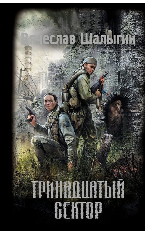 Обложка книги «Тринадцатый сектор» автора Вячеслава Шалыгина издание 2008 года. ISBN 9785699310555.