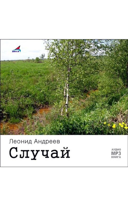 Обложка аудиокниги «Случай. Рассказы» автора Леонида Андреева.