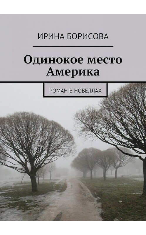 Обложка книги «Одинокое место Америка. Роман в новеллах» автора Ириной Борисовы. ISBN 9785447485979.