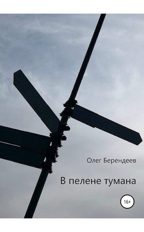 Обложка книги «В пелене тумана» автора Олега Берендеева издание 2019 года. ISBN 9785532094758.