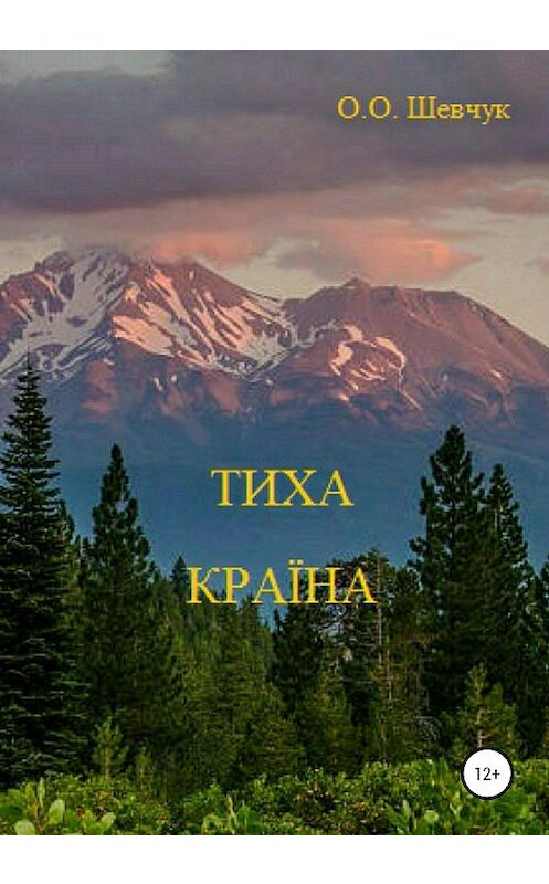 Обложка книги «Тиха Країна. Майданна казка» автора Олександра Шевчука издание 2020 года.