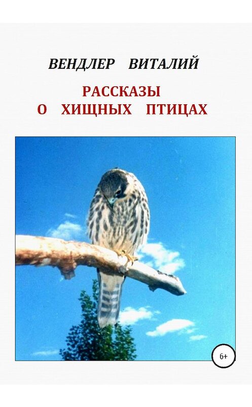 Обложка книги «Рассказы о хищных птицах» автора Виталия Вендлера издание 2020 года. ISBN 9785532040441.