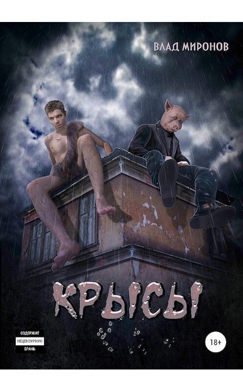 Обложка книги «Крысы» автора Влада Миронова издание 2020 года. ISBN 9785532105690.