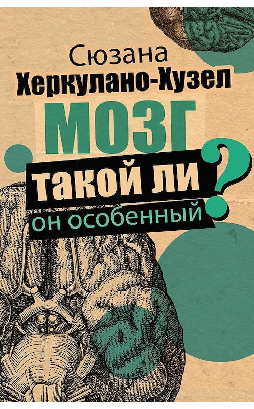 Обложка книги «Мозг. Такой ли он особенный?» автора Сюзаны Херкулано-Хузел издание 2019 года. ISBN 9785171135348.