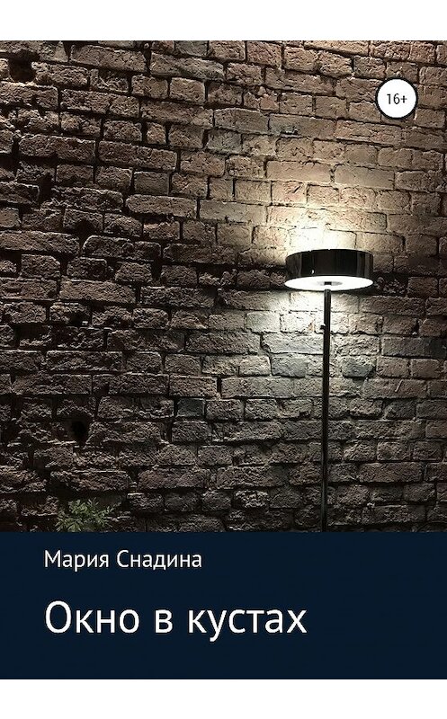 Обложка книги «Окно в кустах» автора Марии Снадины издание 2020 года.