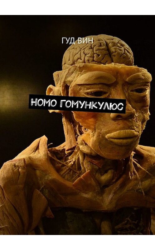 Обложка книги «Homo Гомункулюс» автора Гуда Вина. ISBN 9785449699725.