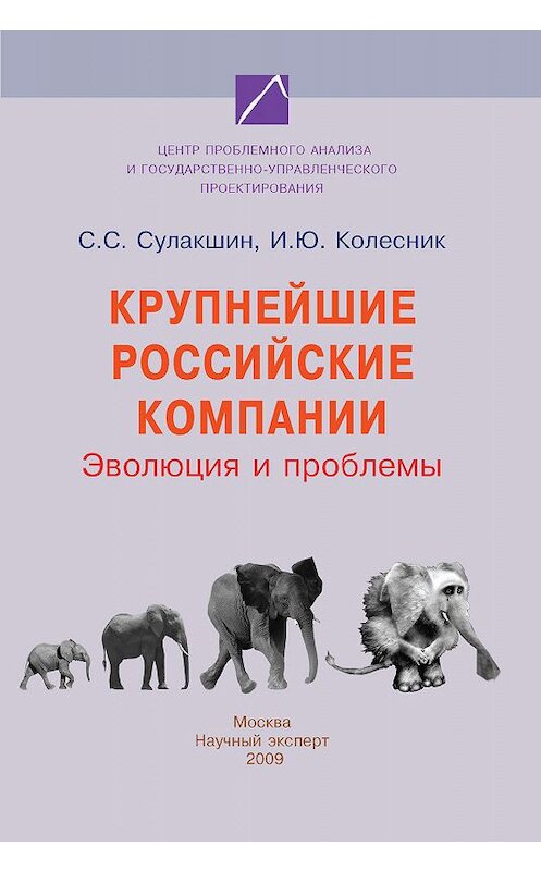 Обложка книги «Крупнейшие российские компании. Эволюция и проблемы» автора  издание 2009 года. ISBN 9785912900693.