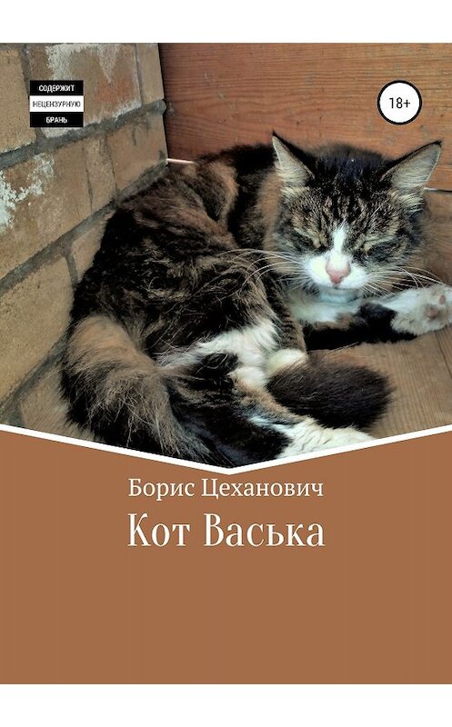 Обложка книги «Кот Васька» автора Бориса Цехановича издание 2018 года.