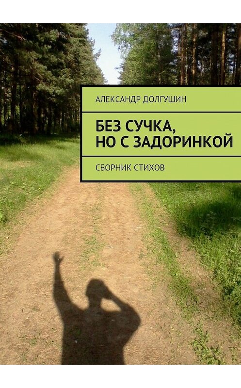 Обложка книги «Без сучка, но с задоринкой» автора Александра Долгушина. ISBN 9785447450113.